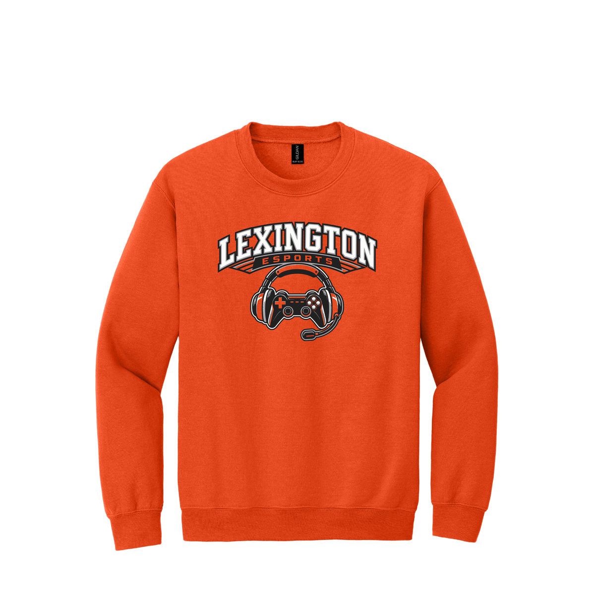 Lex ESports | Gildan Heavy Blend Crewneck Sweatshirt