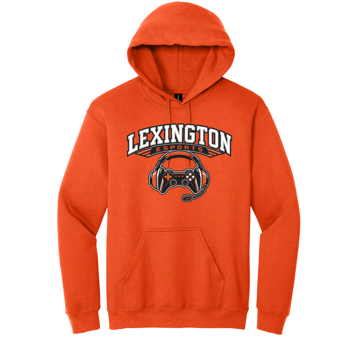 LEX ESports | Gildan Heavy Blend Hooded Sweatshirt