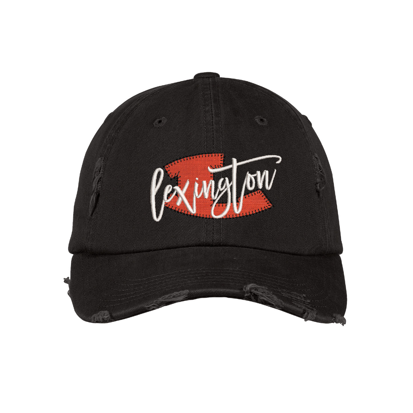 District Distressed Cap
