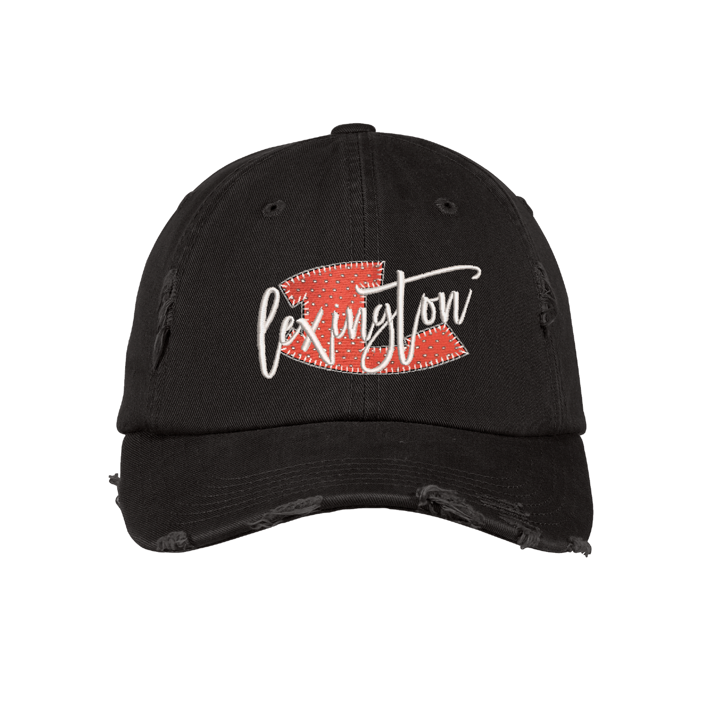 District Distressed Cap