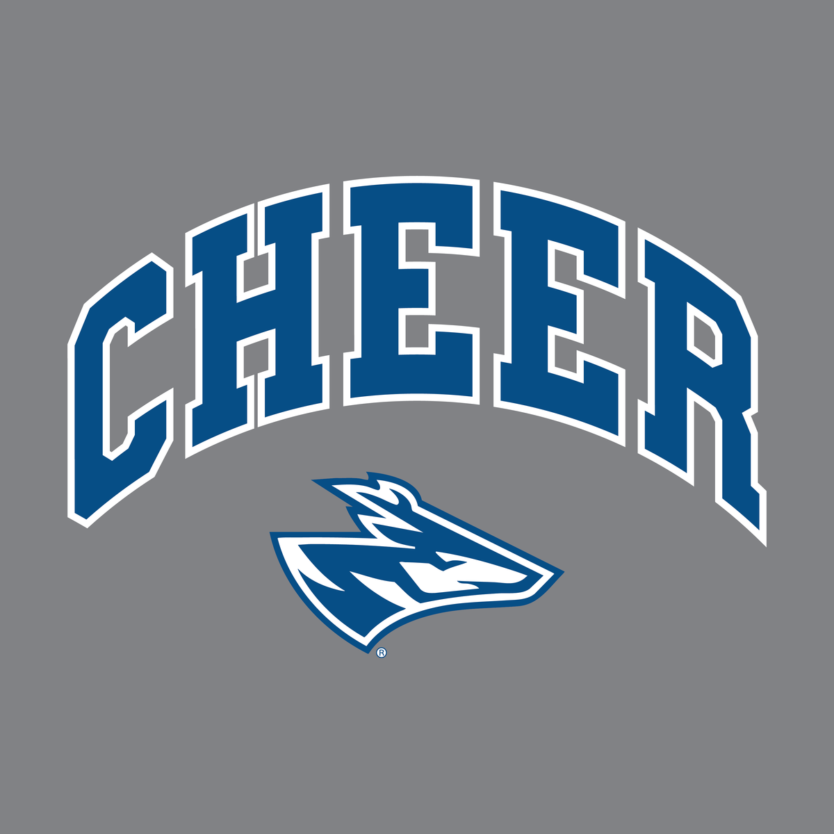 UNK Cheer Fundraiser