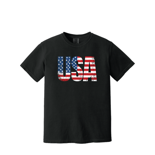 250 | Comfort Colors Garment-Dyed Heavyweight T-Shirt