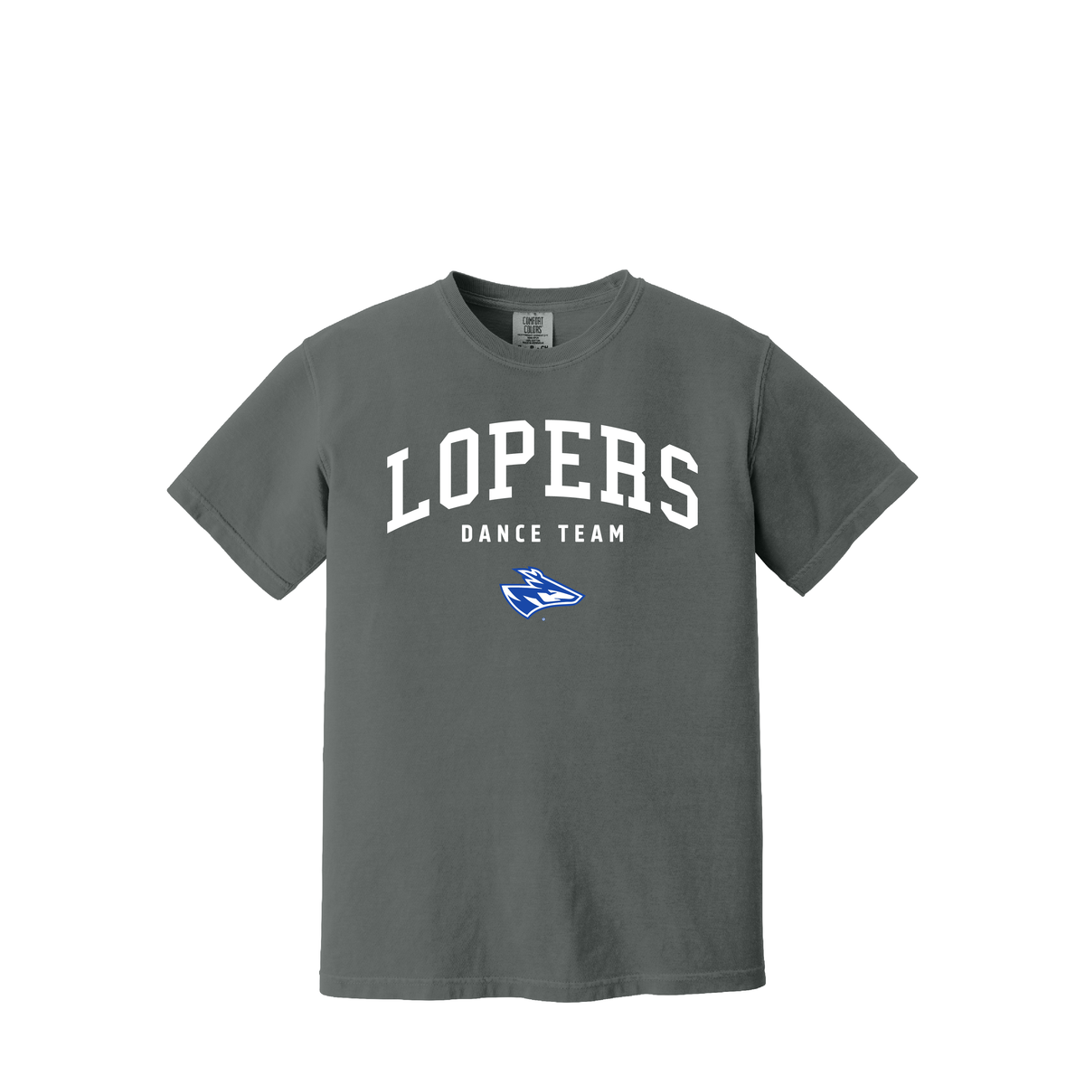 UNK Dance Team | Comfort Colors Garment-Dyed Heavyweight T-Shirt