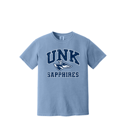 UNK Dance Team | Comfort Colors Garment-Dyed Heavyweight T-Shirt
