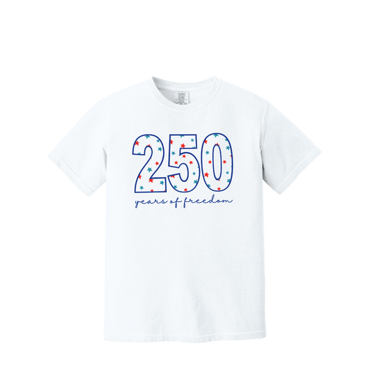 250 | Comfort Colors Garment-Dyed Heavyweight T-Shirt