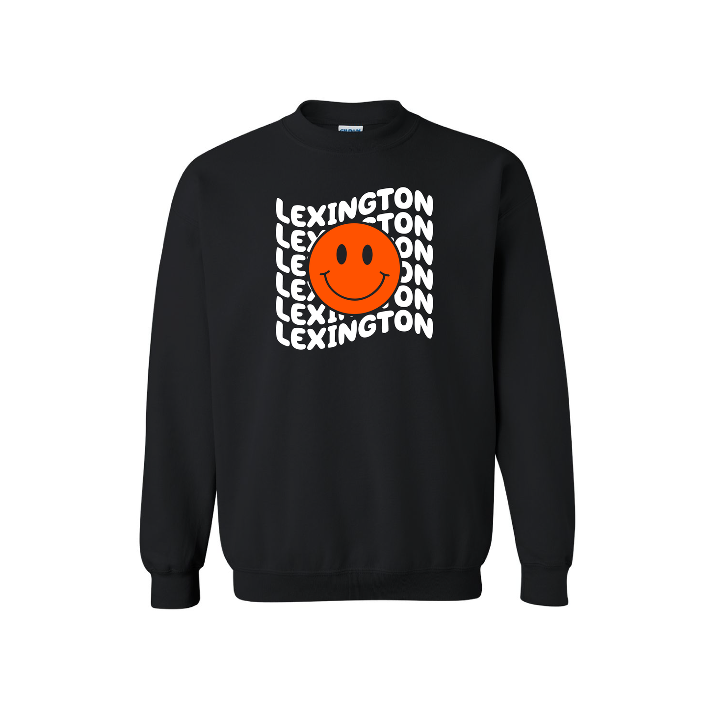 Gildan Youth Heavy Blend Crewneck Sweatshirt 2