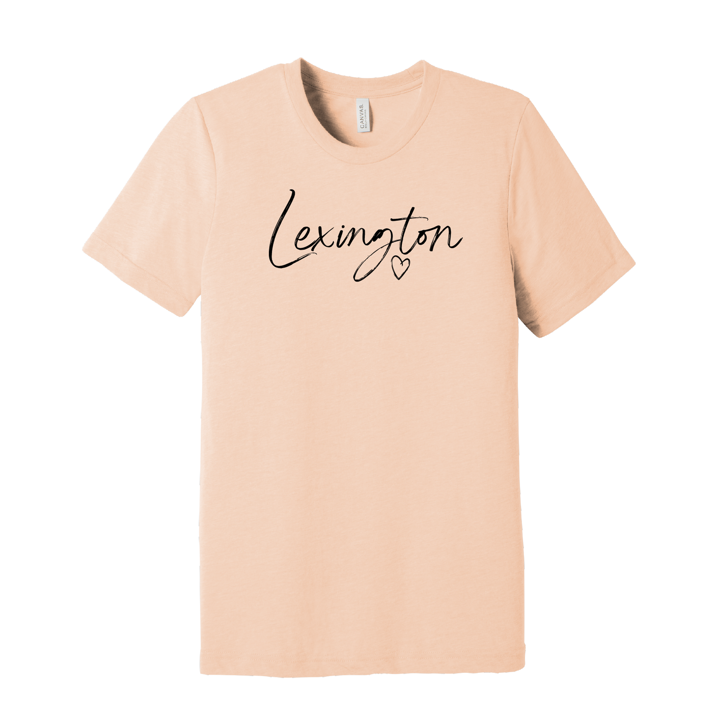 Bella+Canvas Unisex Triblend Short Sleeve Tee