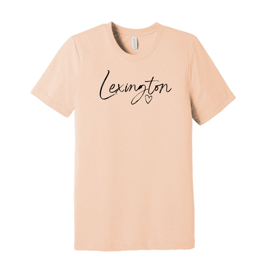 Bella+Canvas Unisex Triblend Short Sleeve Tee