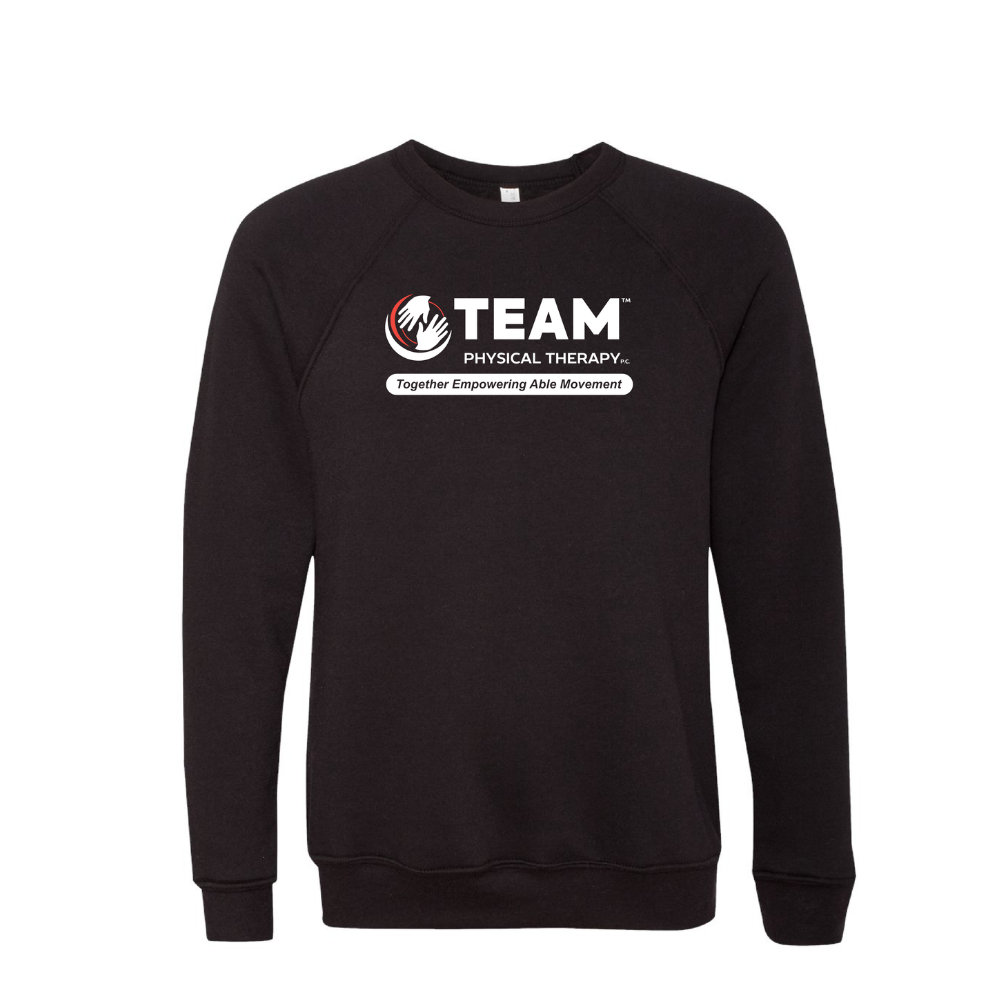 Equipo de Fisioterapia | Sudadera unisex Bella+Canvas de forro polar con mangas raglán y esponja