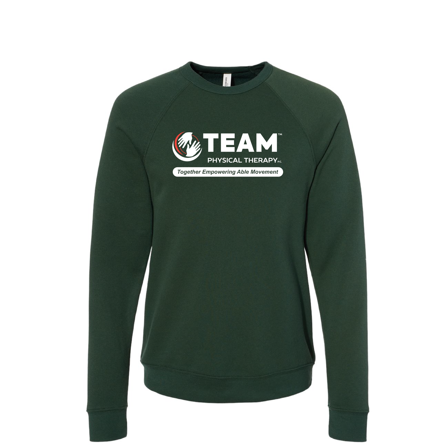 Equipo de Fisioterapia | Sudadera unisex Bella+Canvas de forro polar con mangas raglán y esponja