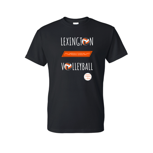 LMS Volleyball | Gildan DryBlend 50 Cotton/50 Poly T-Shirt