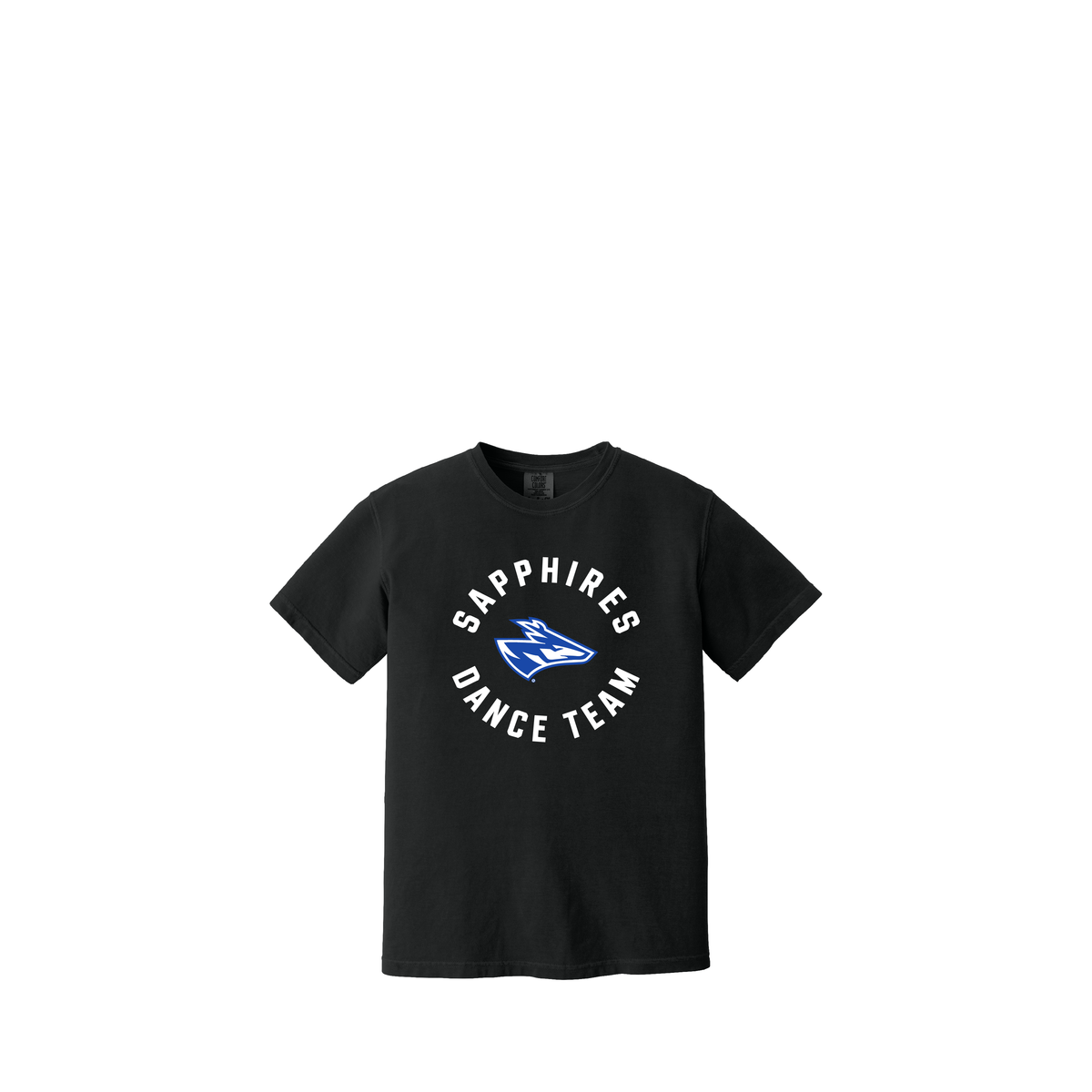 UNK Dance Team | Comfort Colors Youth Garment-Dyed Heavyweight T-Shirt